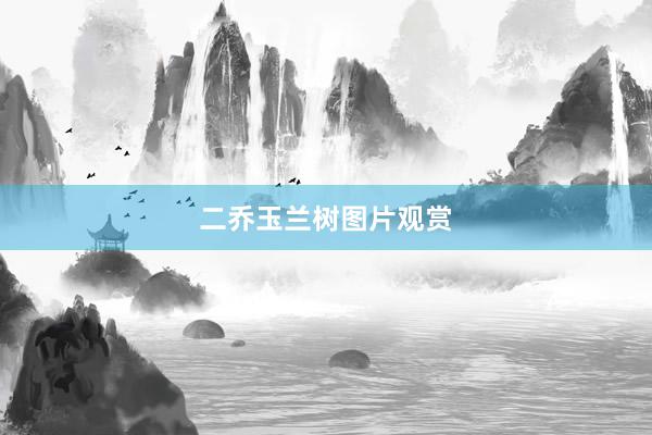 二乔玉兰树图片观赏
