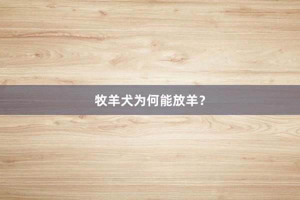 牧羊犬为何能放羊？