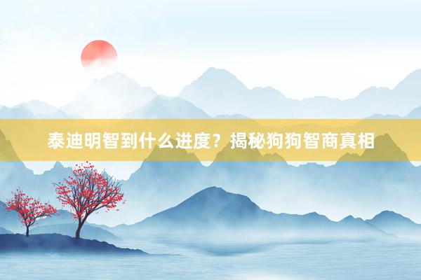 泰迪明智到什么进度？揭秘狗狗智商真相